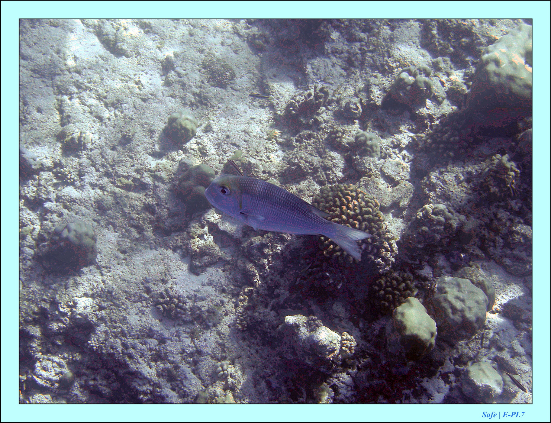 2023 - 07 - Sandies Bathala - 119